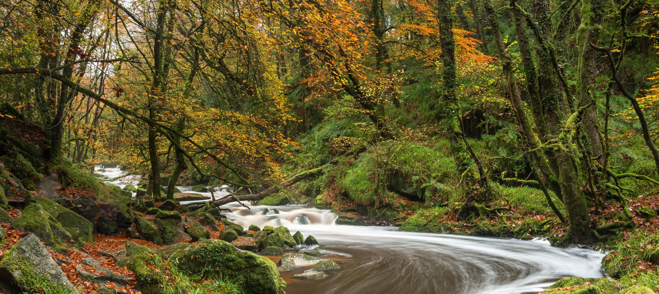 Golitha Falls, Liskeard, Cornwall