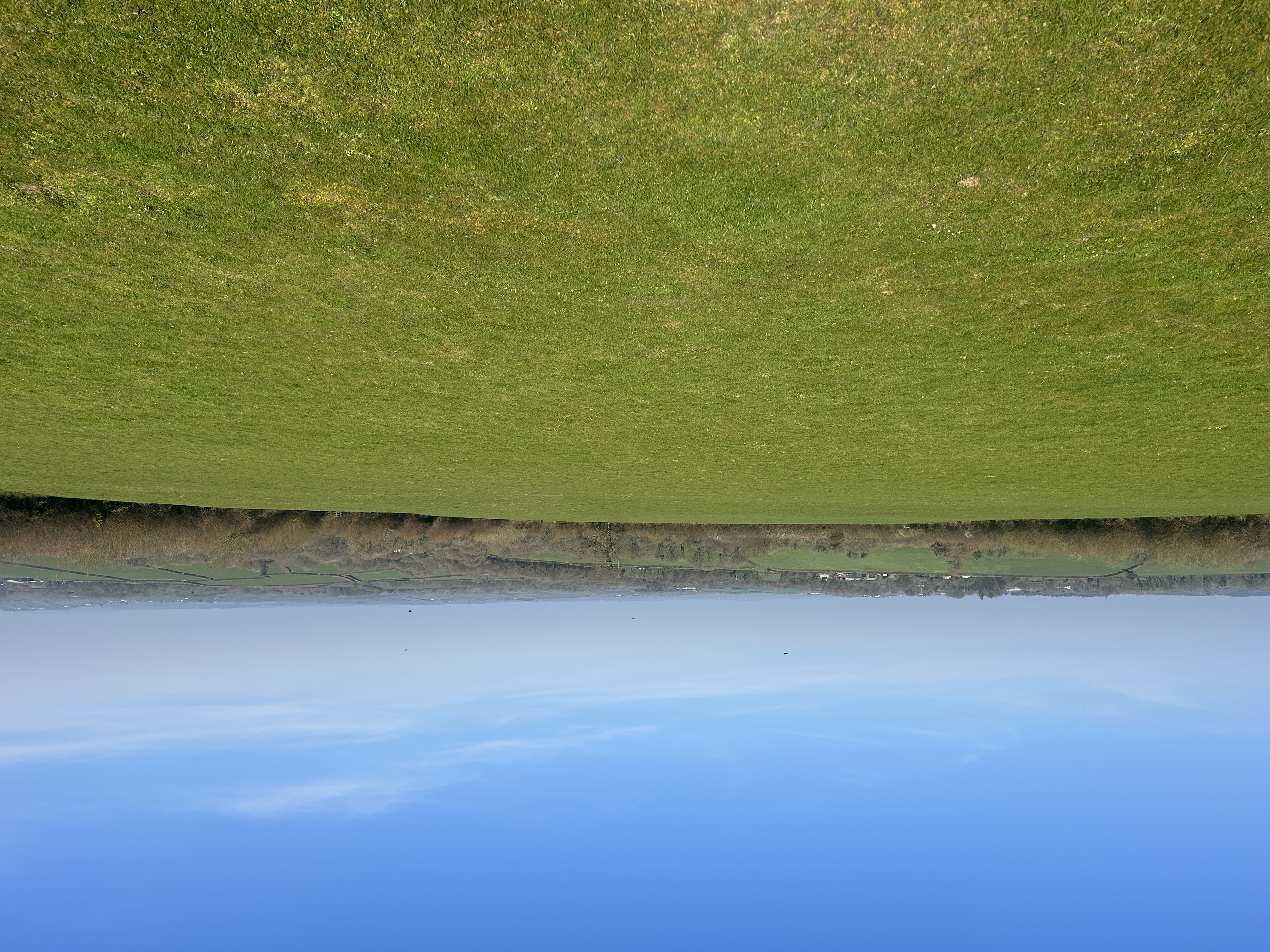 GRASS KEEP FOR SALE BY INFORMAL TENDER AT TUTCHENOR FARM, PATCHACOTT, BEAWORTHY EX21 5AR