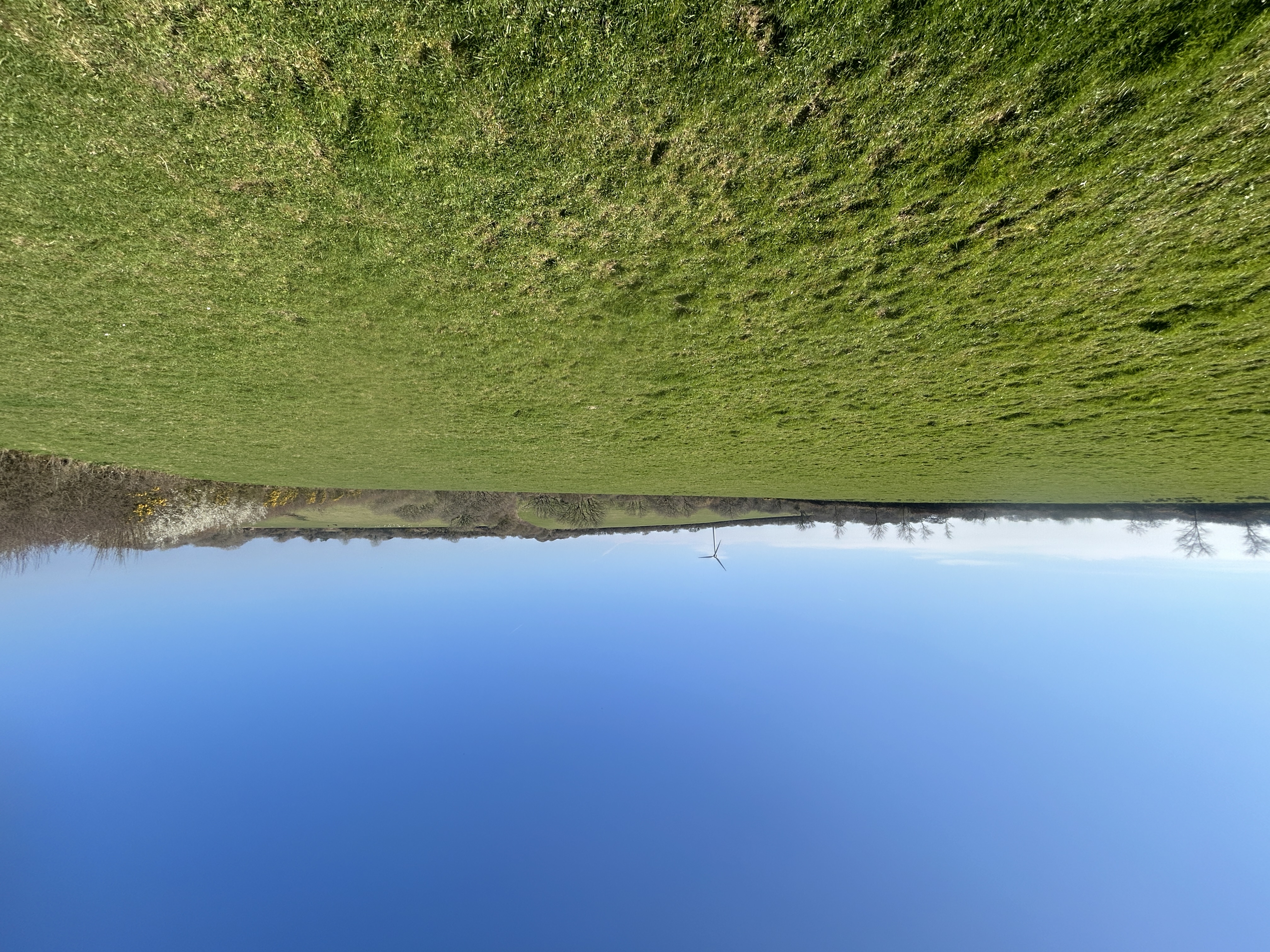 GRASS KEEP FOR SALE BY INFORMAL TENDER AT TUTCHENOR FARM, PATCHACOTT, BEAWORTHY EX21 5AR