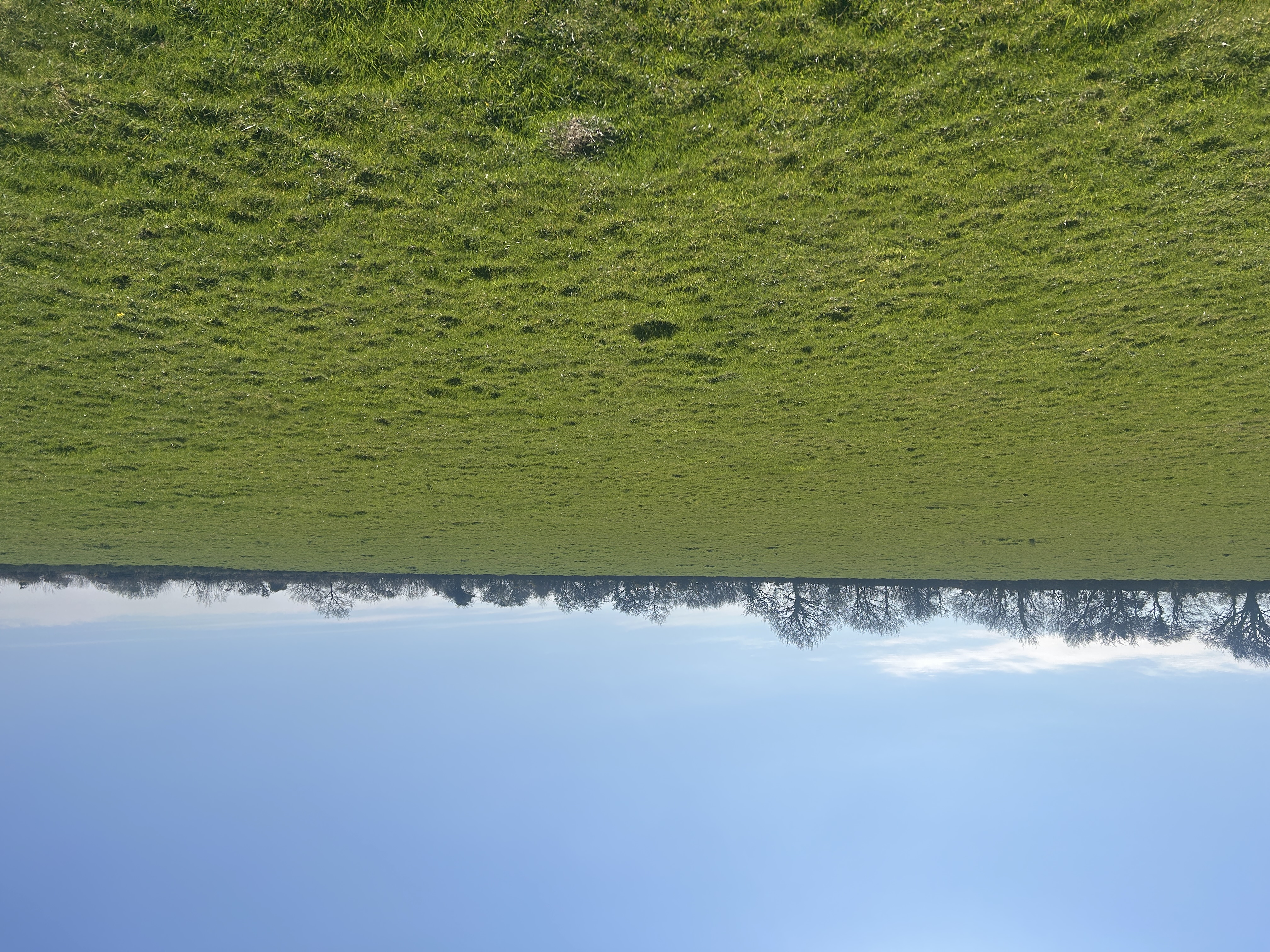 GRASS KEEP FOR SALE BY INFORMAL TENDER AT TUTCHENOR FARM, PATCHACOTT, BEAWORTHY EX21 5AR