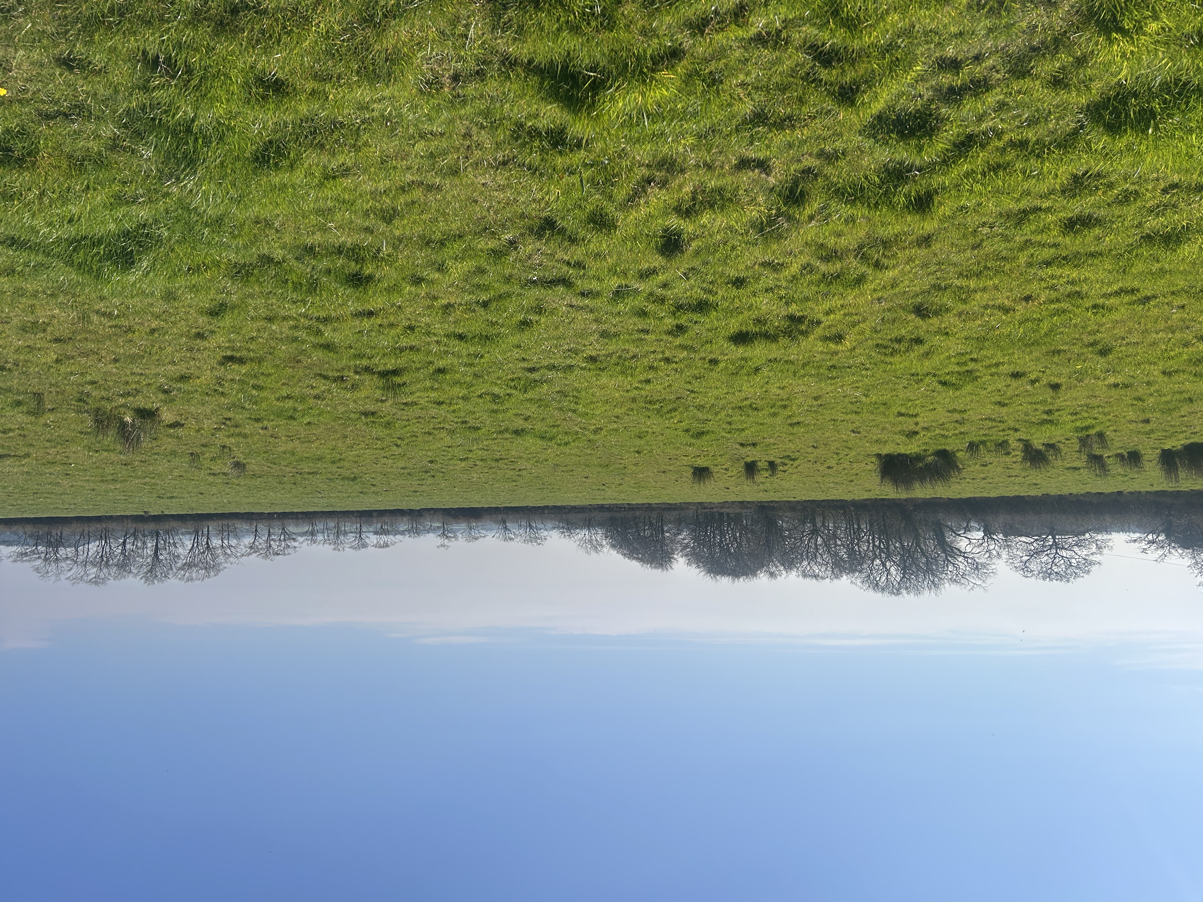 GRASS KEEP FOR SALE BY INFORMAL TENDER AT TUTCHENOR FARM, PATCHACOTT, BEAWORTHY EX21 5AR