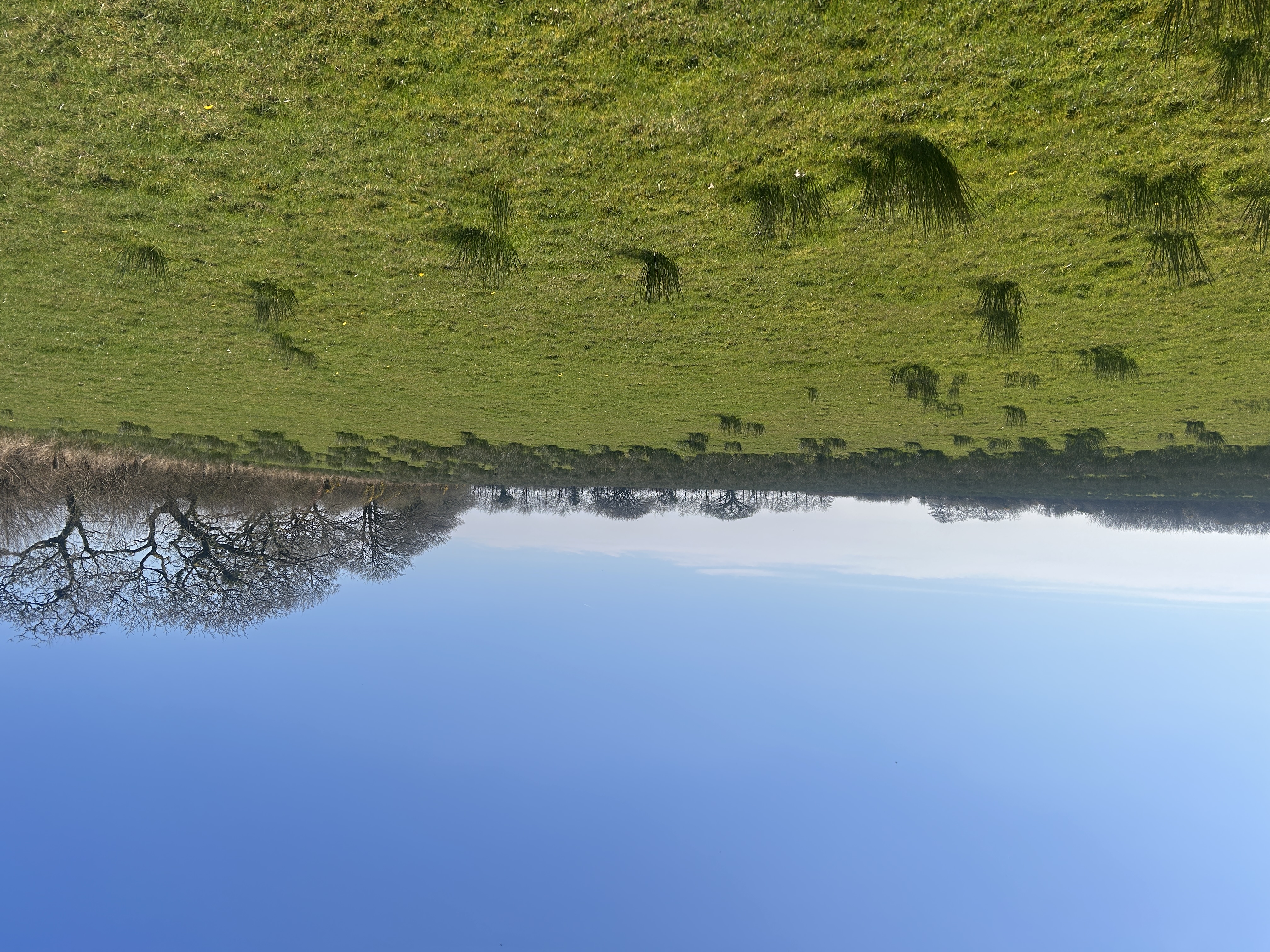 GRASS KEEP FOR SALE BY INFORMAL TENDER AT TUTCHENOR FARM, PATCHACOTT, BEAWORTHY EX21 5AR