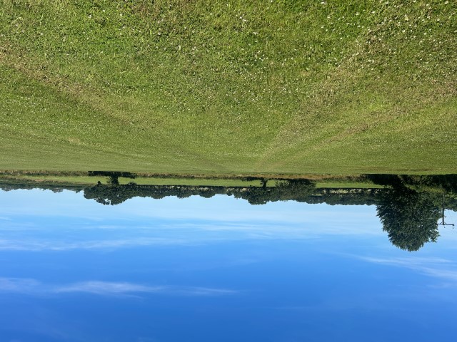 LAND TO LET AT PADDON FARM, SHEBBEAR, BEAWORTHY, DEVON EX21 5RD