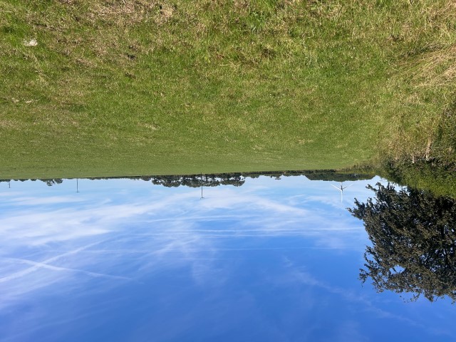 LAND TO LET AT PADDON FARM, SHEBBEAR, BEAWORTHY, DEVON EX21 5RD