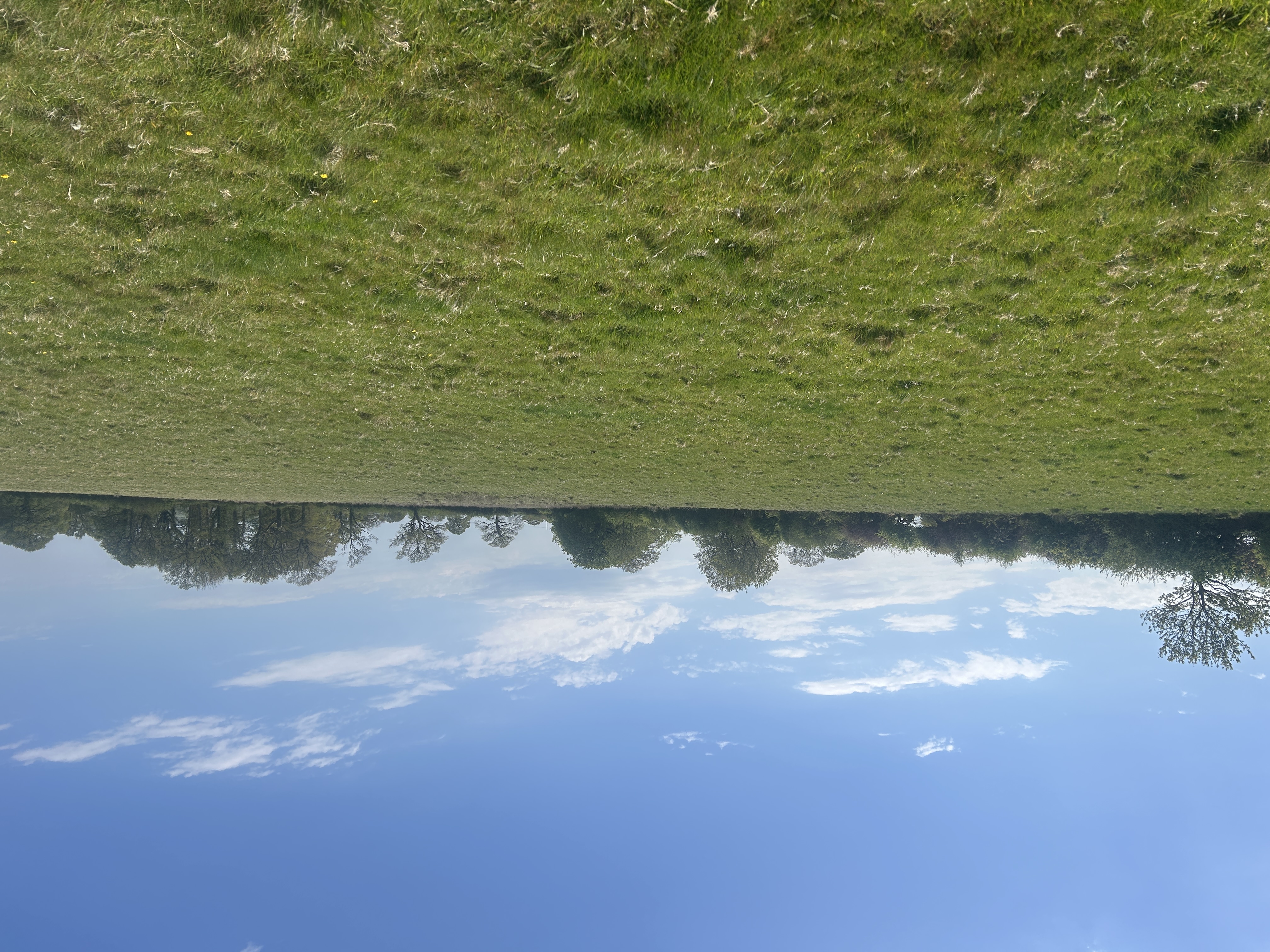 GRASS KEEP FOR SALE BY INFORMAL TENDER AT LAND KNOWN AS THE PRAIRIE LAND NORTH OF TOR DOWN, EXBOURNE, EX20 3QU