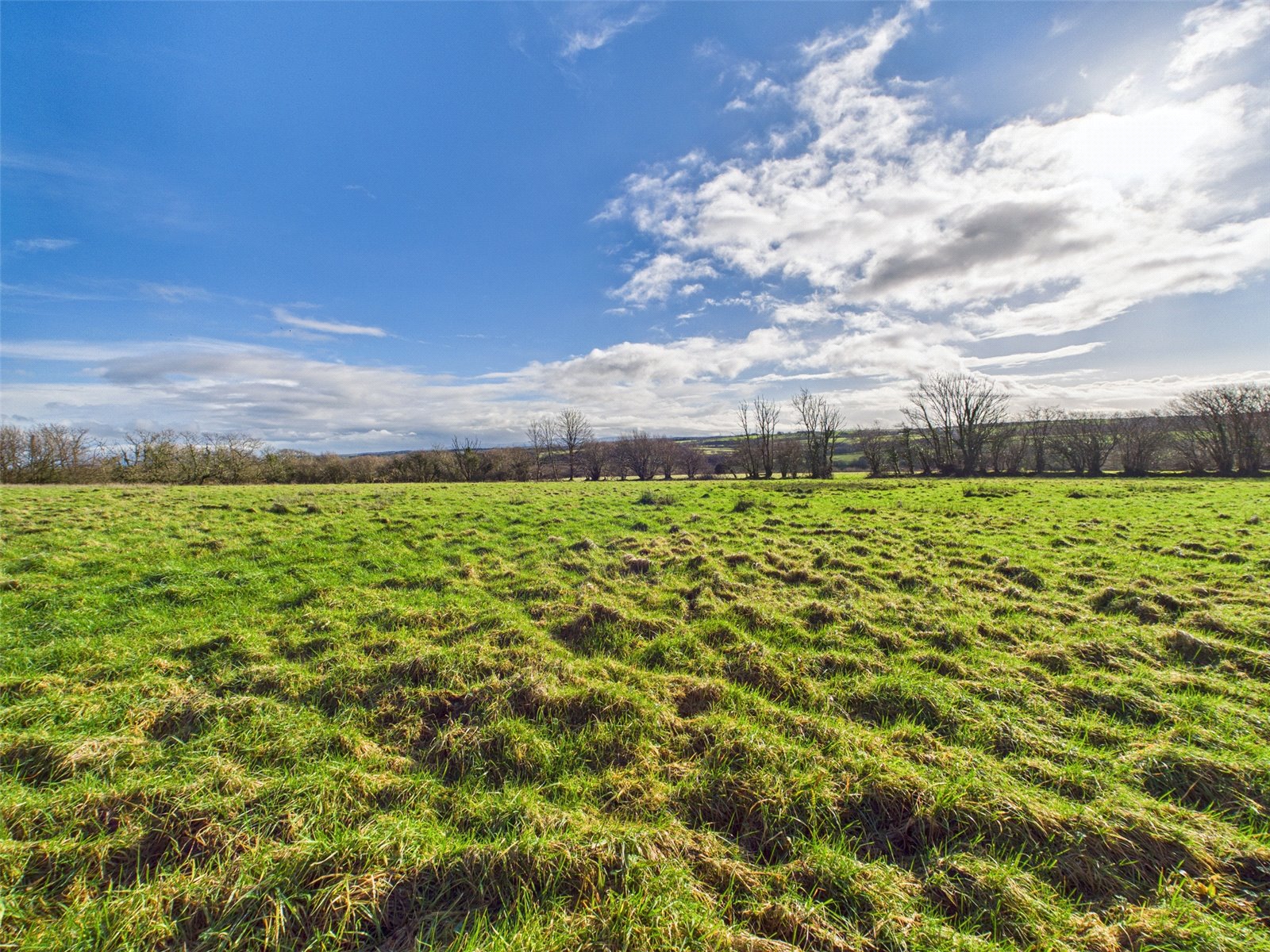 Woodacott, Holsworthy, Devon EX22