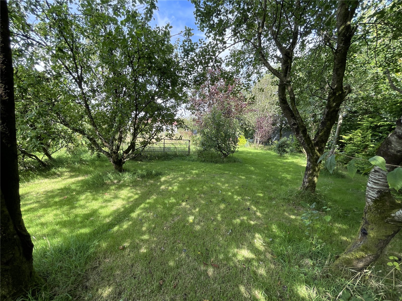 Woodacott, Holsworthy, Devon EX22