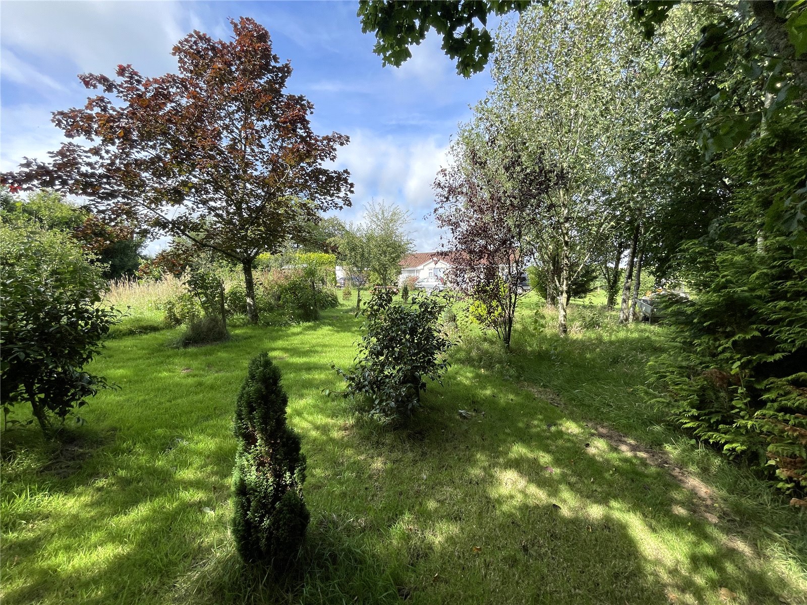 Woodacott, Holsworthy, Devon EX22