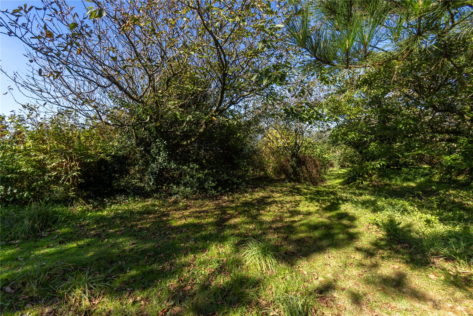 Hartland, Bideford, Devon EX39