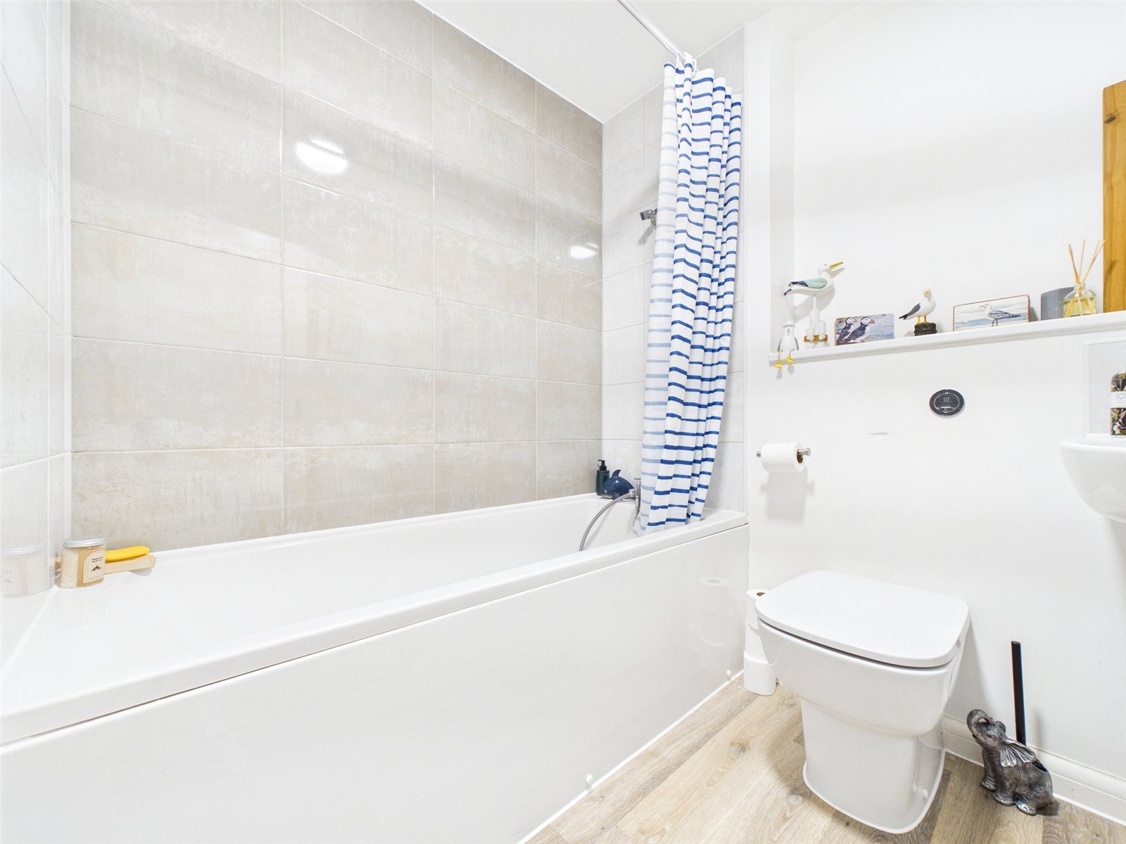 Gadwall Walk, Bude, Cornwall EX23