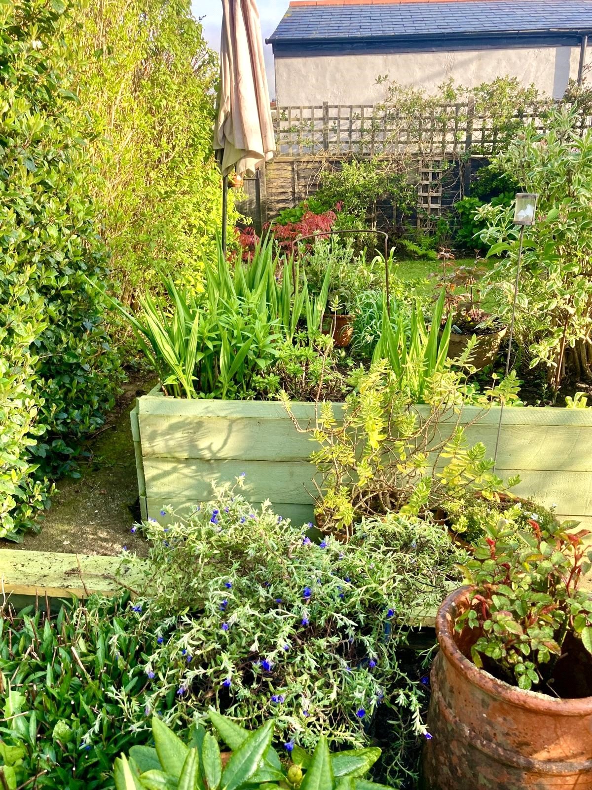 Grimscott, Bude, Cornwall EX23