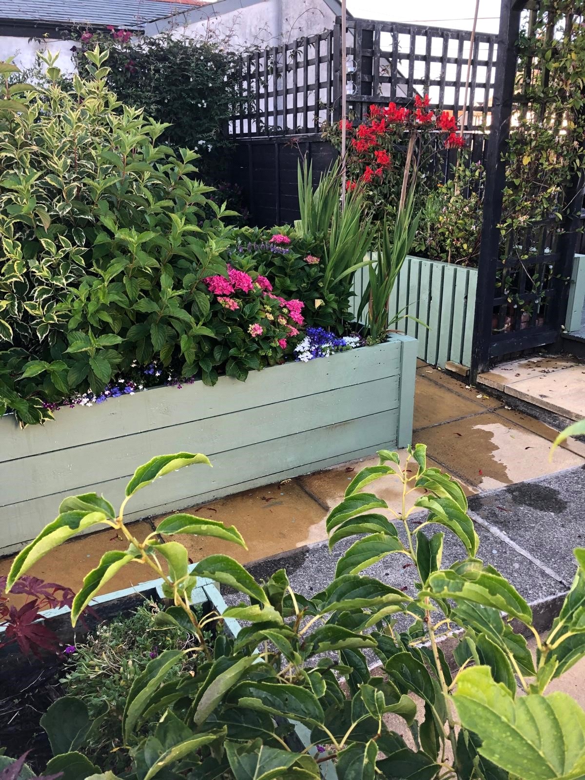 Grimscott, Bude, Cornwall EX23