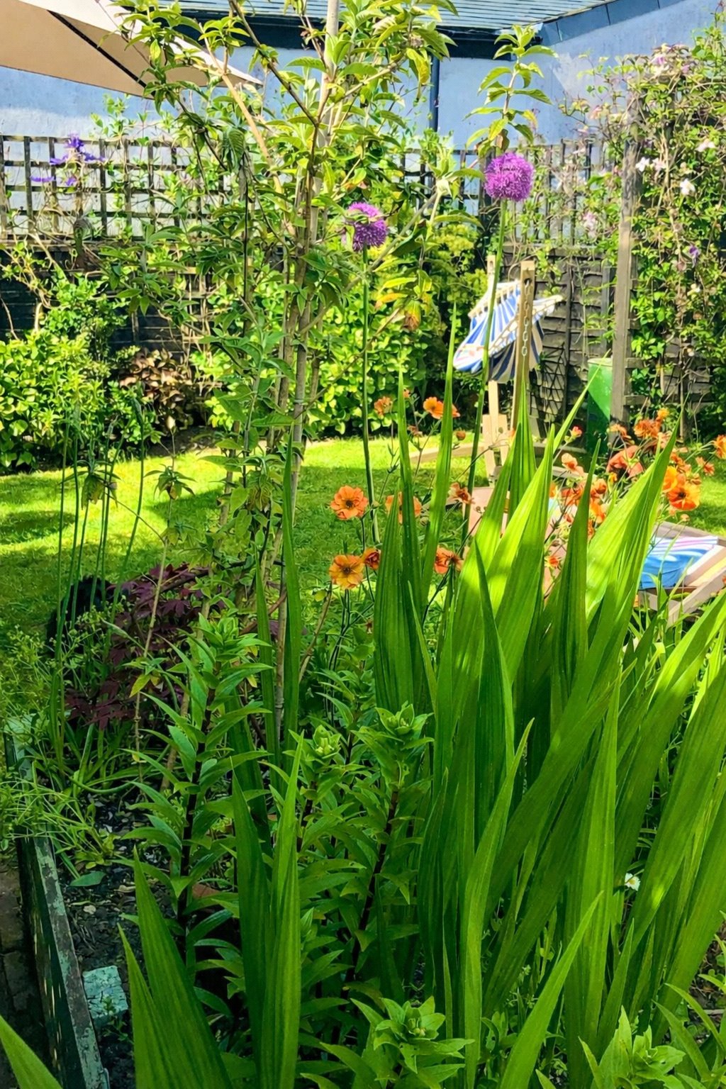 Grimscott, Bude, Cornwall EX23