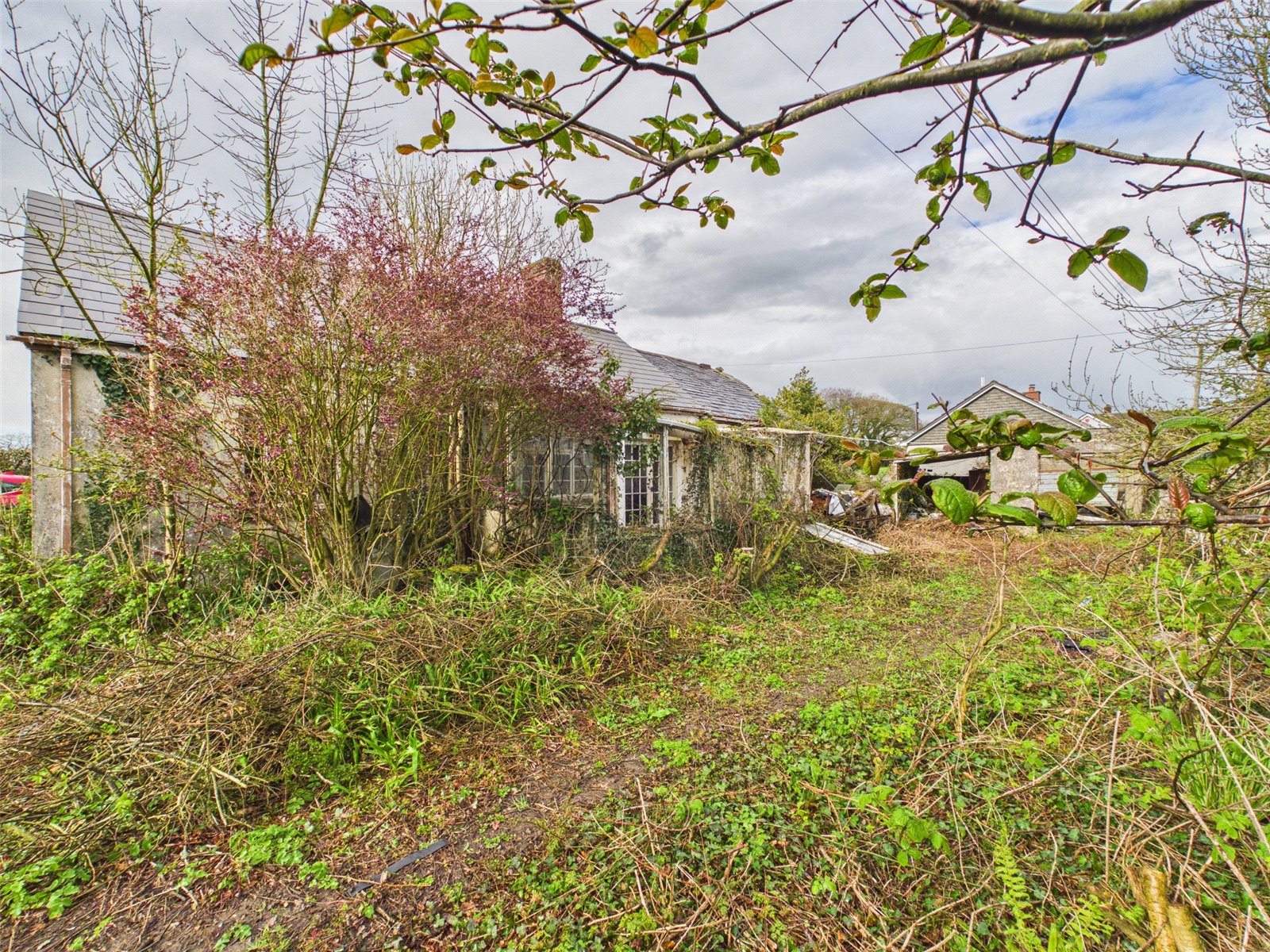 Milton Damerel, Holsworthy, Devon EX22