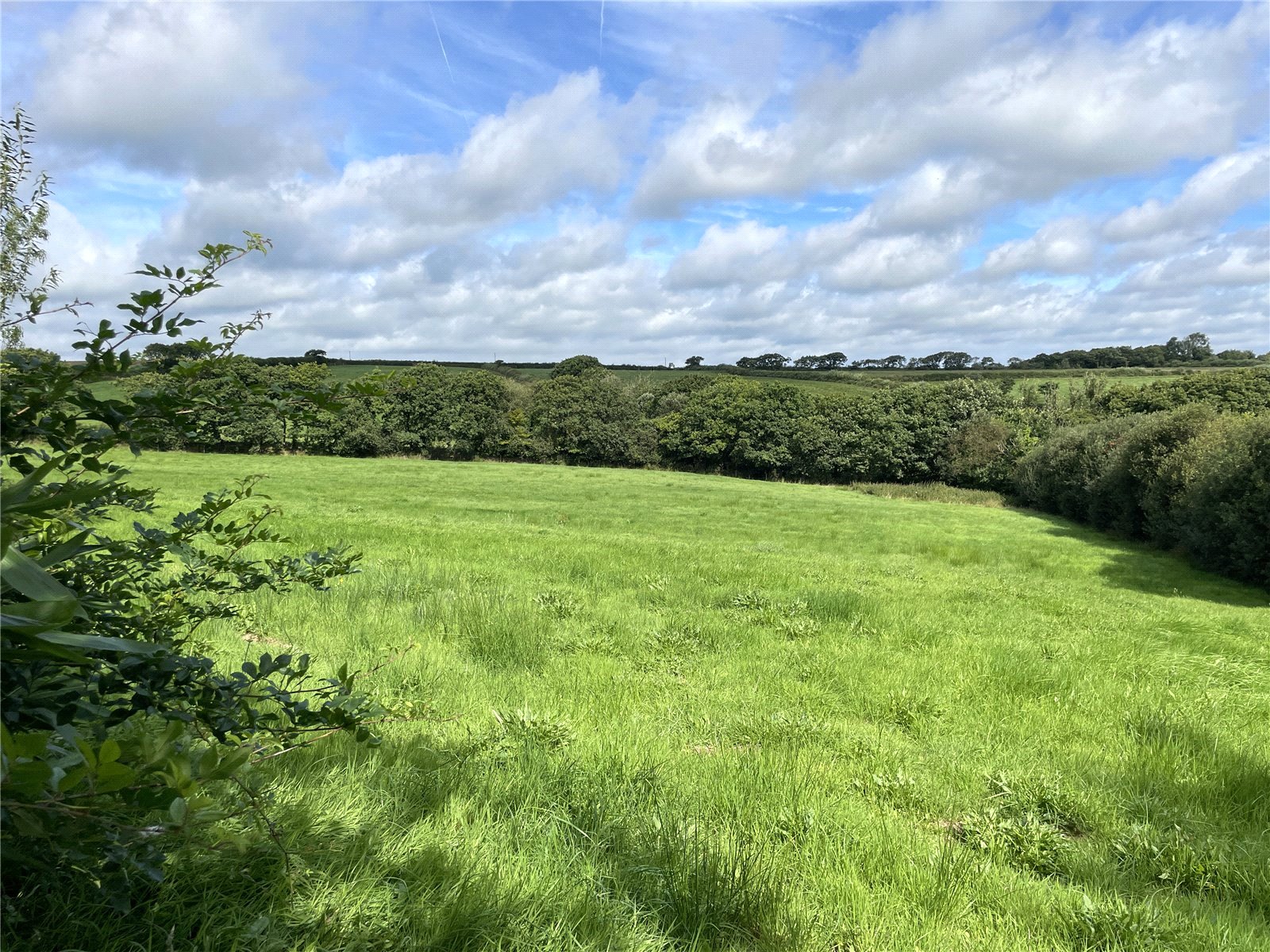 Woodacott, Holsworthy, Devon EX22