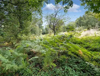 Bray Shop, Callington, Cornwall PL17