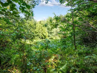 Bray Shop, Callington, Cornwall PL17