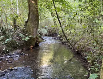 Dolton, Winkleigh, Devon EX19