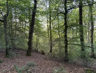 Dolton, Winkleigh, Devon EX19