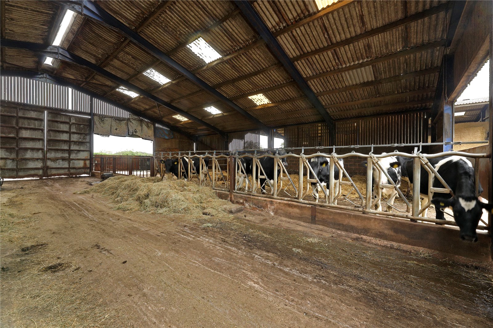 Meshaw, South Molton, Devon EX36