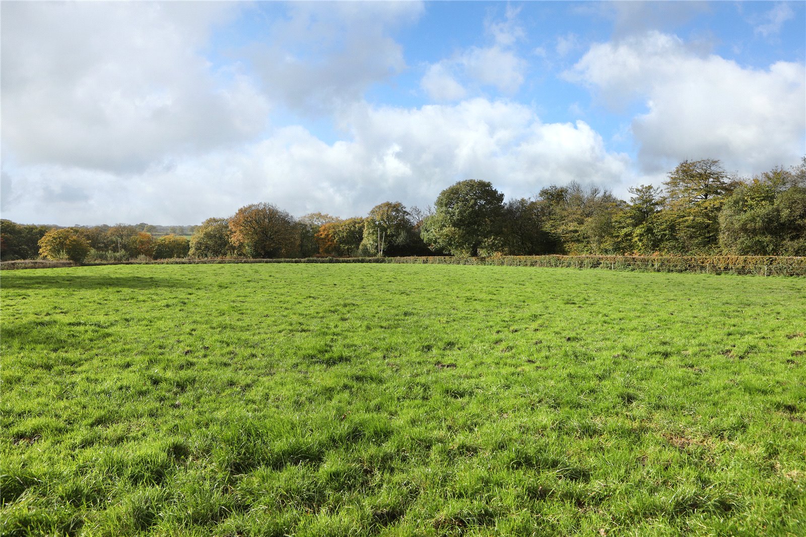 Meshaw, South Molton, Devon EX36