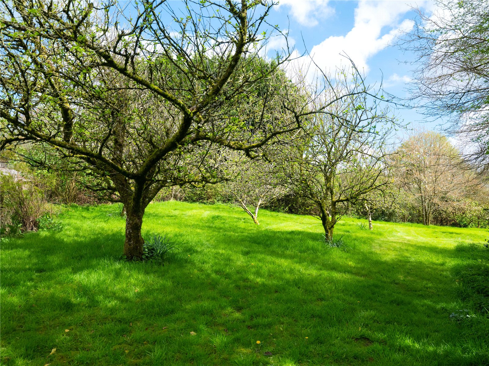 Coryton, Okehampton, Devon EX20