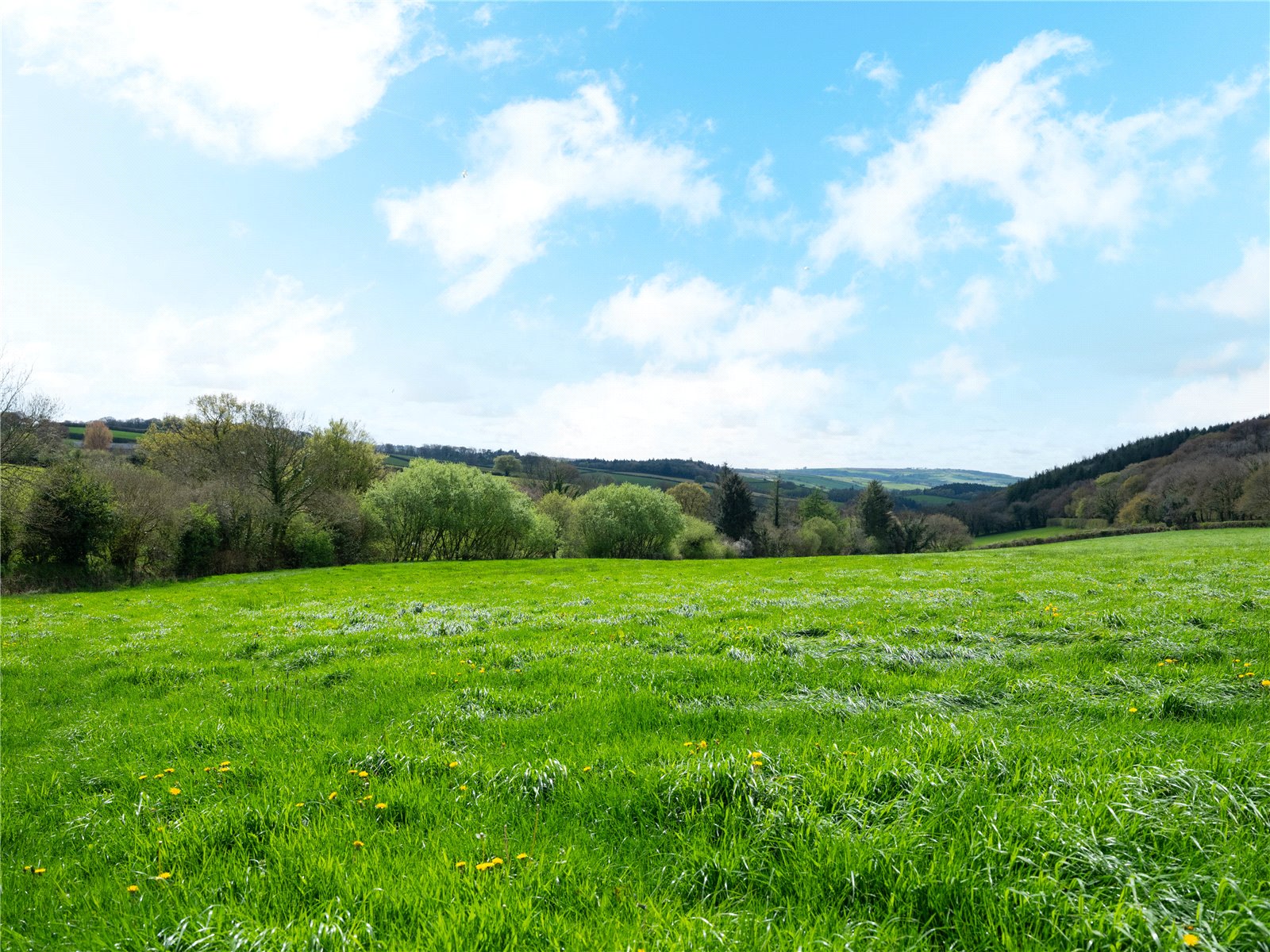 Coryton, Okehampton, Devon EX20