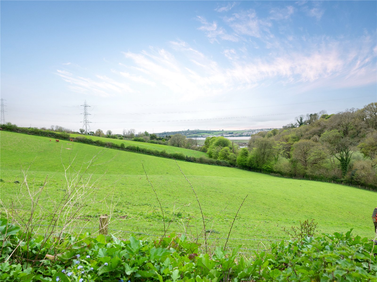 Bere Ferrers, Yelverton, Devon PL20