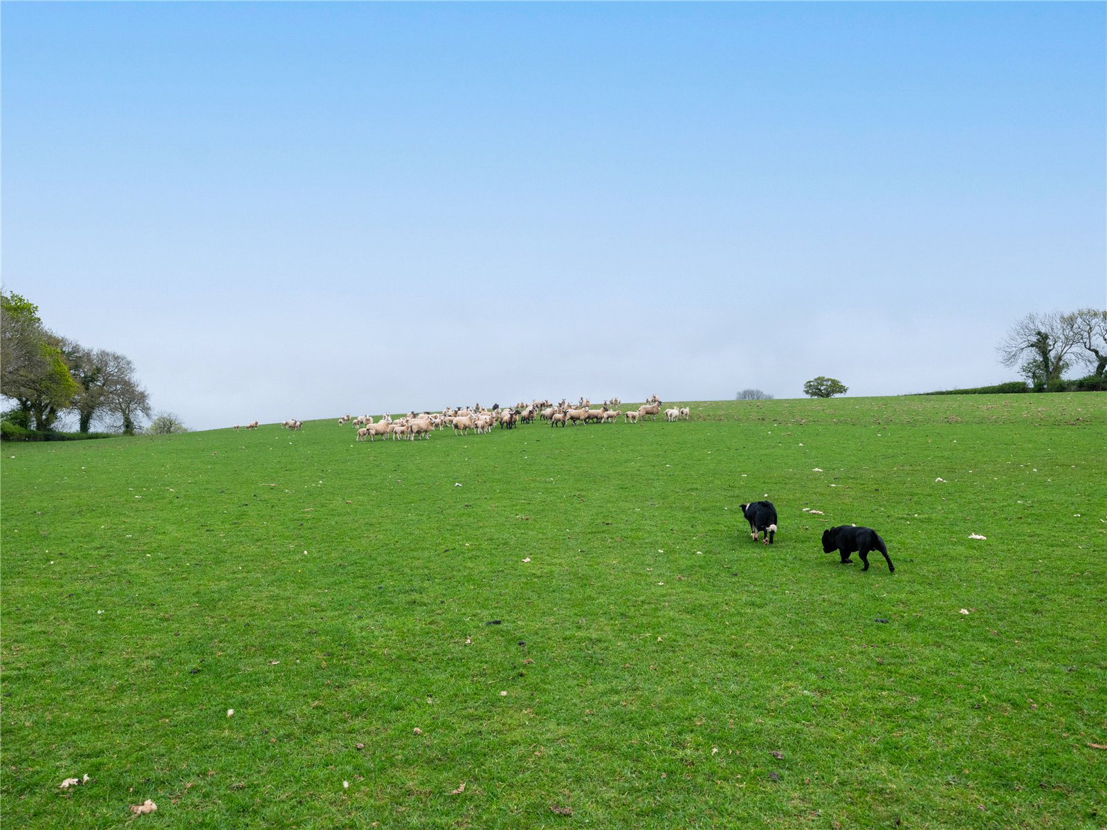 Bere Ferrers, Yelverton, Devon PL20