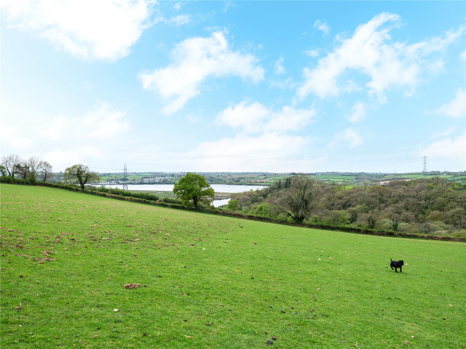 Bere Ferrers, Yelverton, Devon PL20