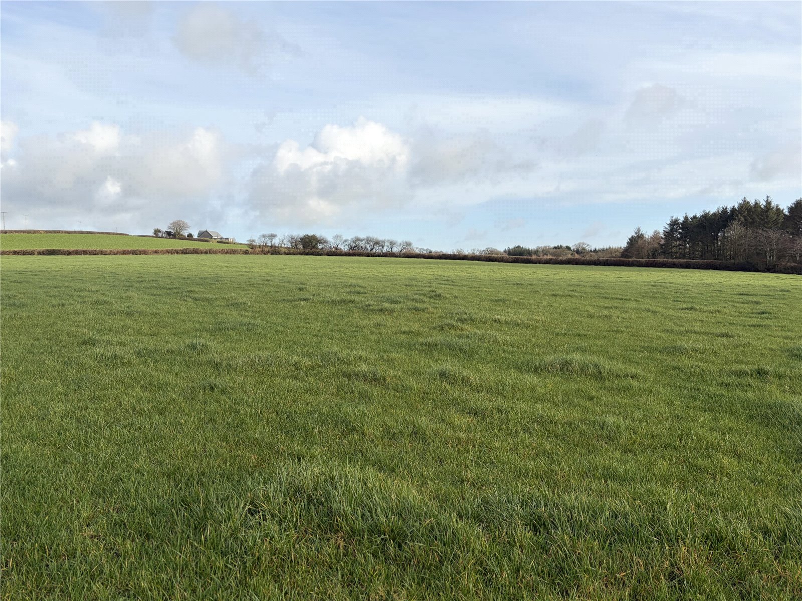 Shebbear (12.23 Acres), Beaworthy, Devon EX21