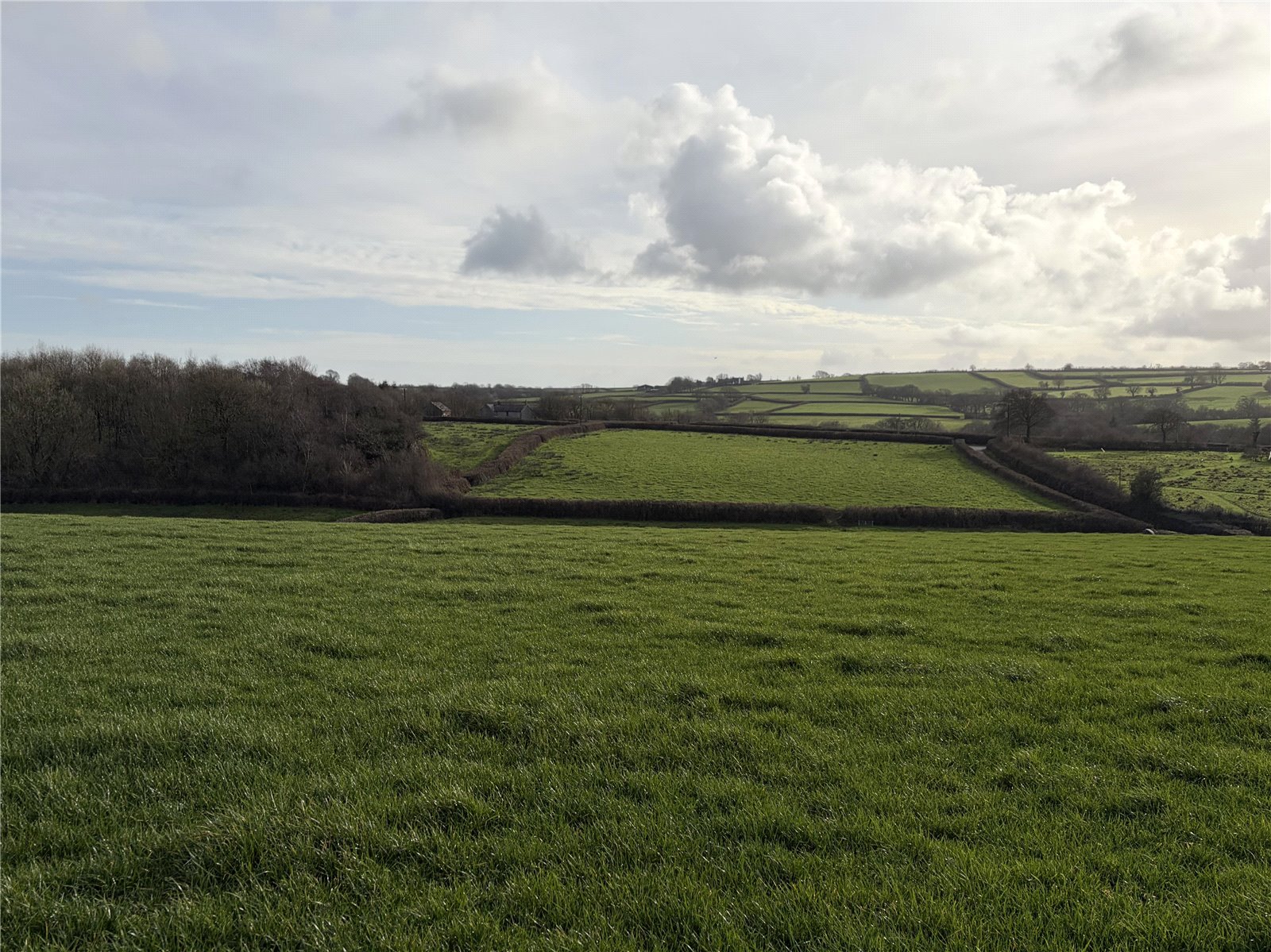 Shebbear (12.23 Acres), Beaworthy, Devon EX21