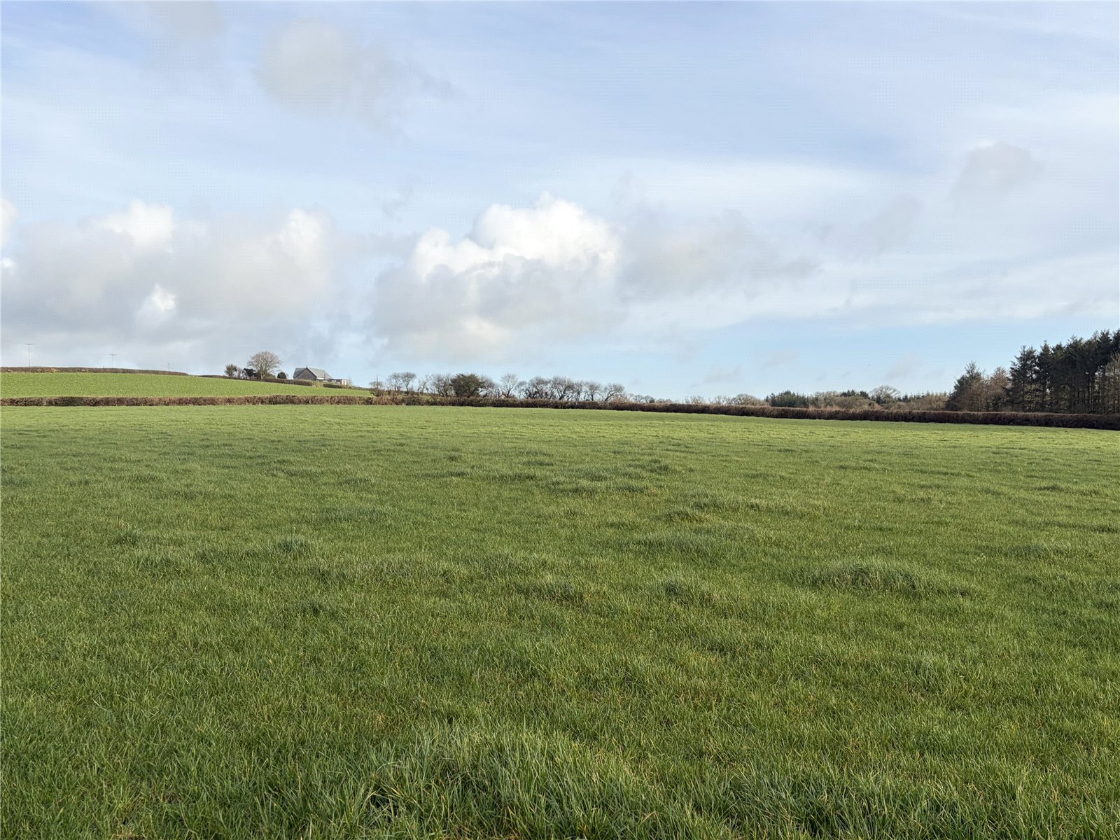Shebbear (10.21 Acres), Beaworthy, Devon EX21