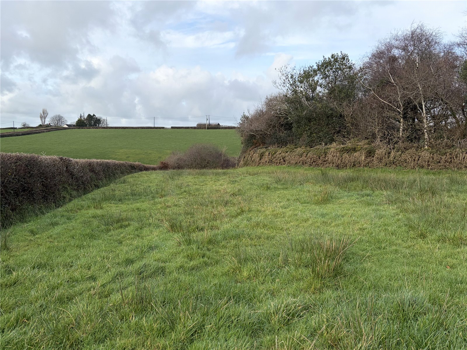 Shebbear (10.21 Acres), Beaworthy, Devon EX21
