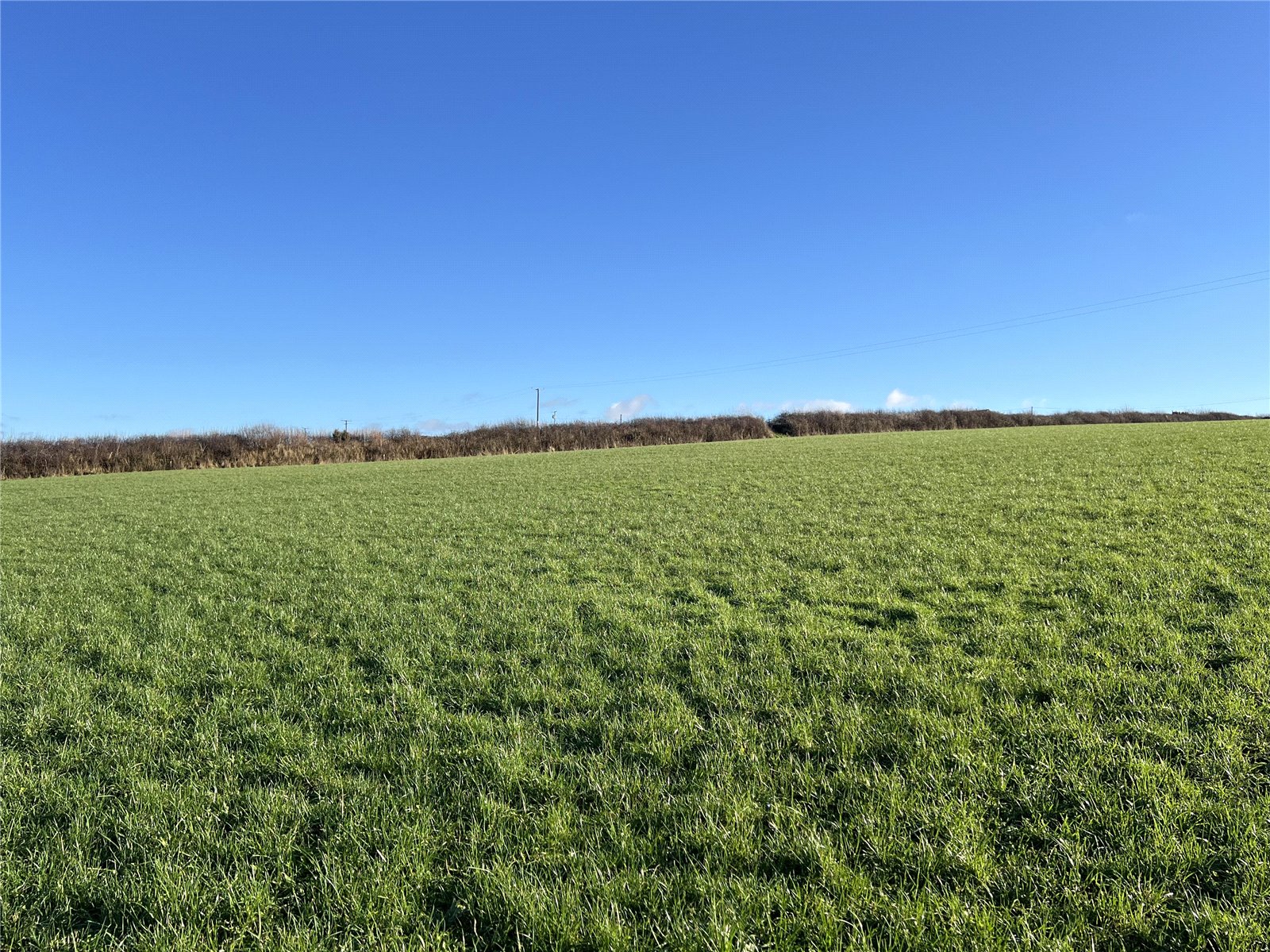 Morwenstow, Bude, Cornwall EX23