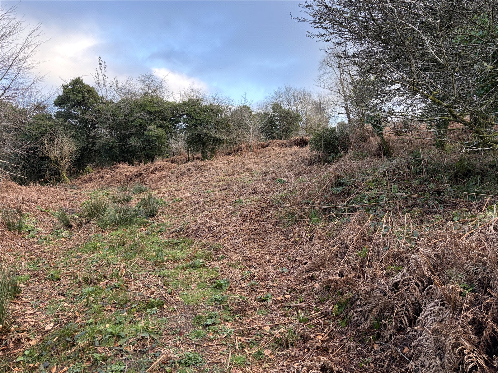 Kit Hill, Callington, Cornwall PL17