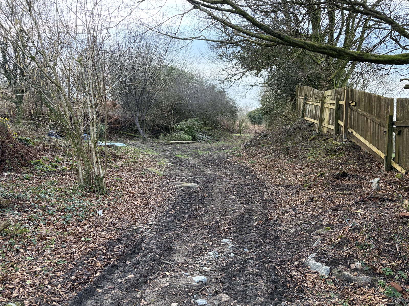 Kit Hill, Callington, Cornwall PL17