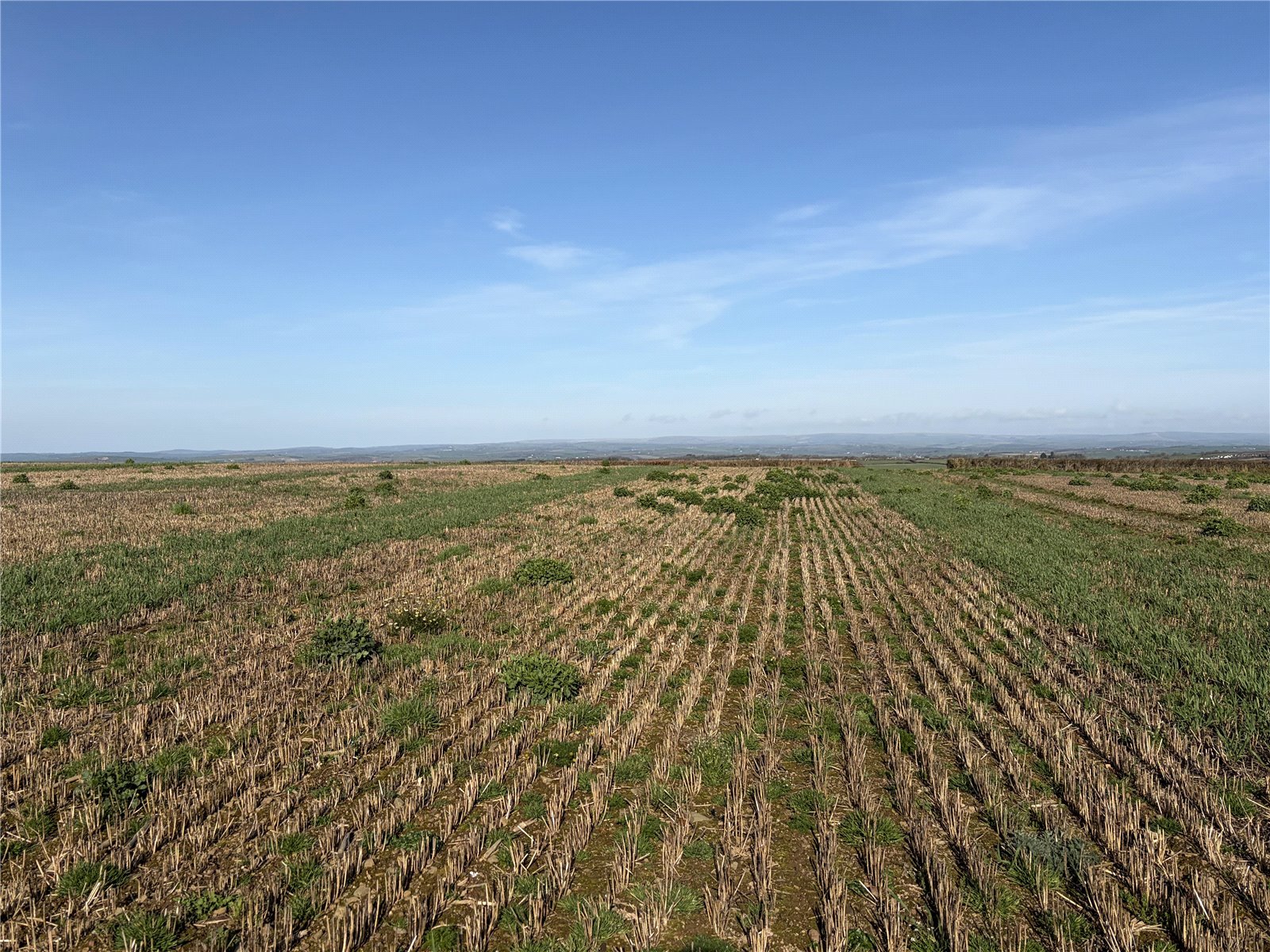 Ebberley, Torrington, Devon EX38