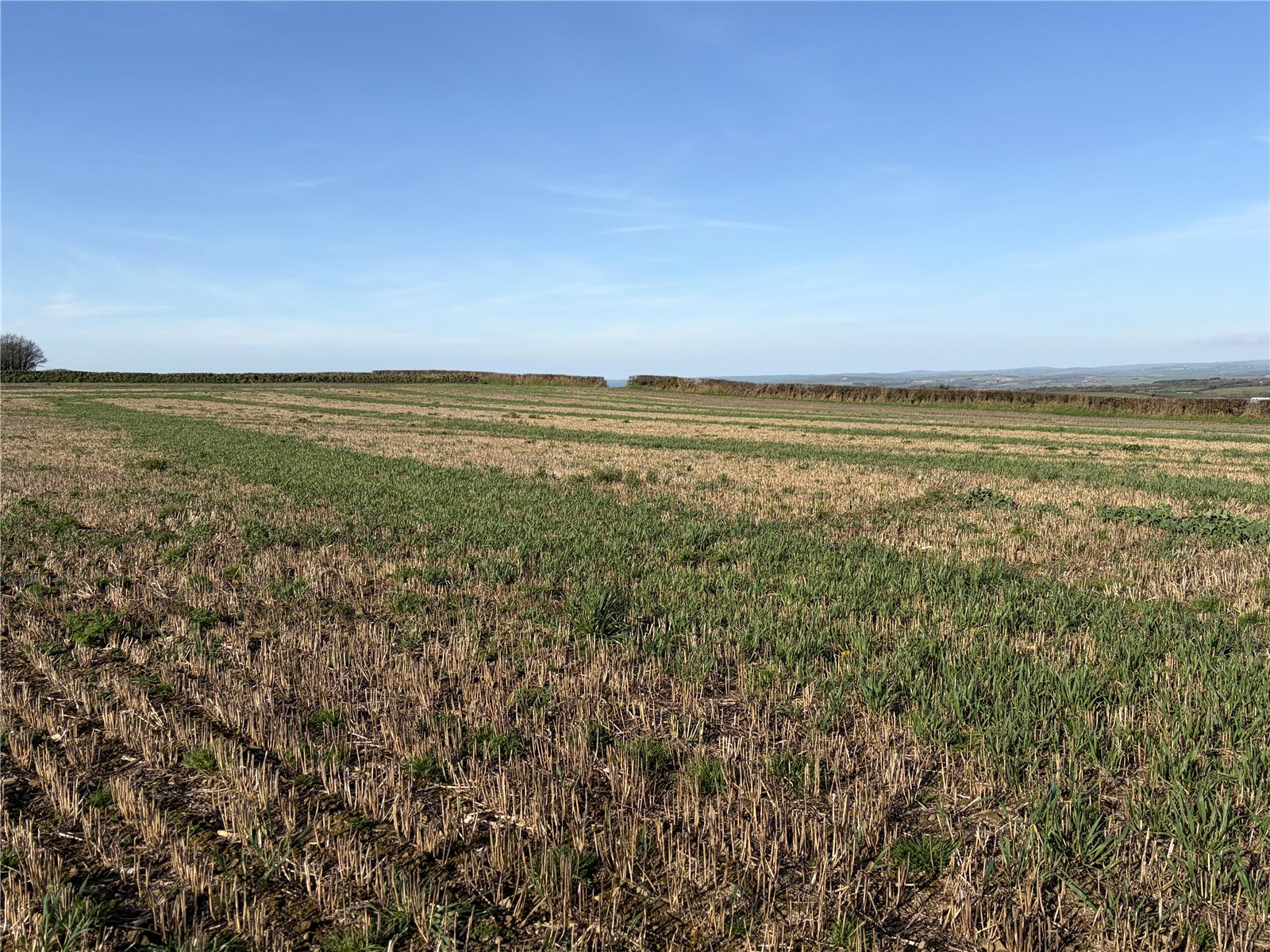 Ebberley, Torrington, Devon EX38