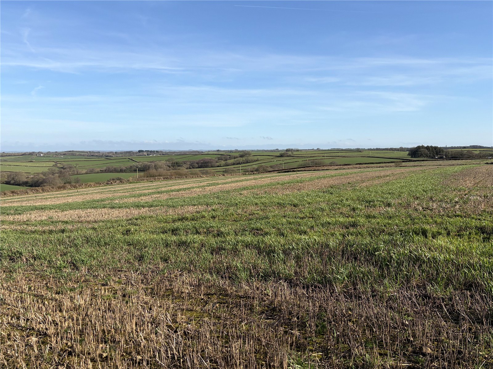 Ebberley, Torrington, Devon EX38