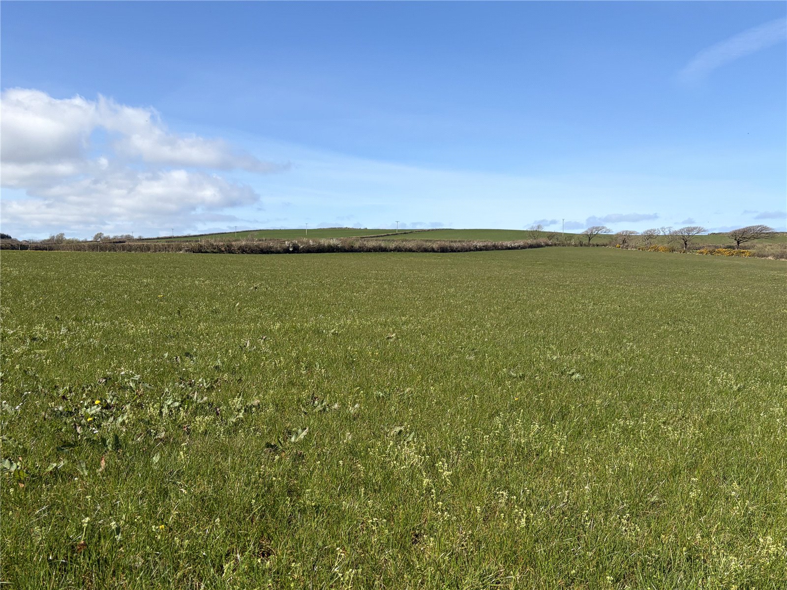 Parkham, Bideford, Devon EX39