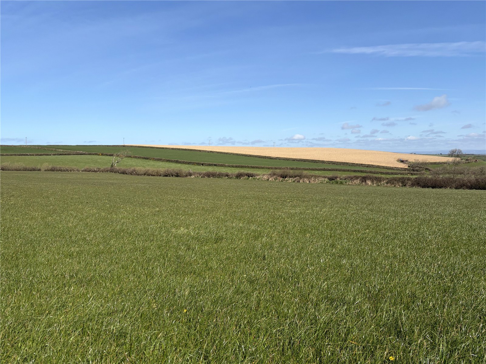 Parkham, Bideford, Devon EX39