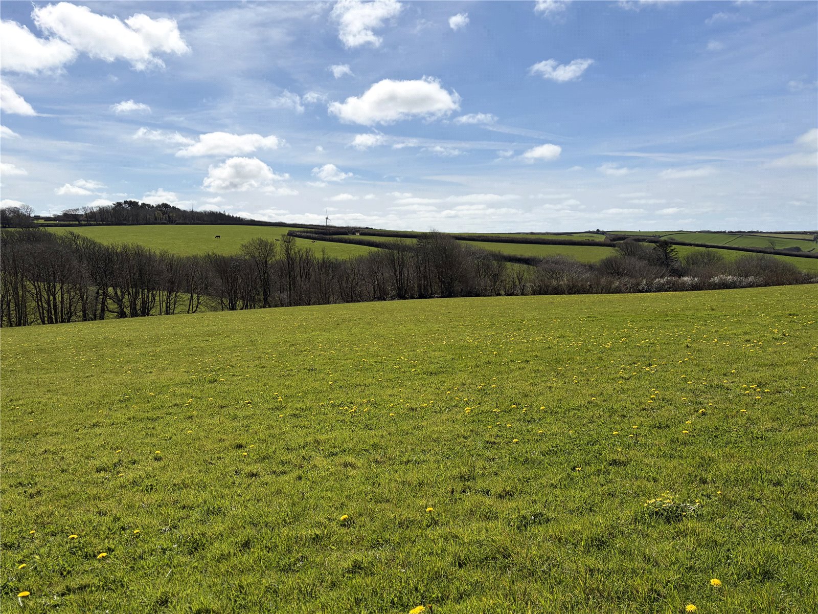 Woolley, Bude, Cornwall EX23