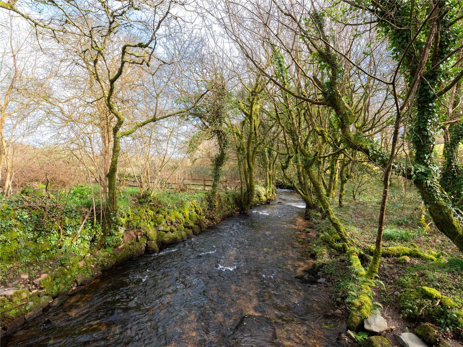 Altarnun, Launceston, Cornwall PL15