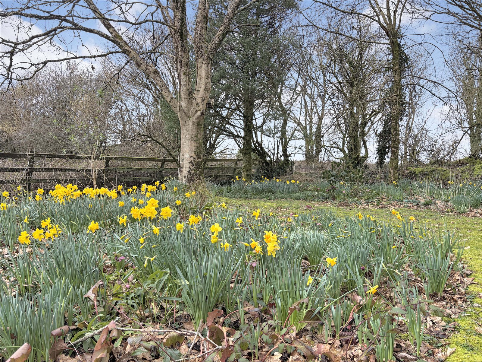 Bathpool, Launceston, Cornwall PL15