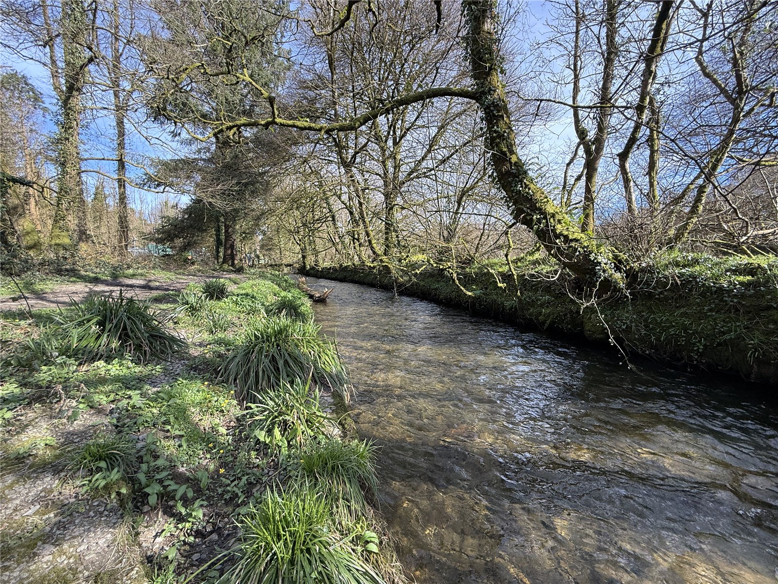 Adjacent To River Camel, Camelford, Cornwall PL32