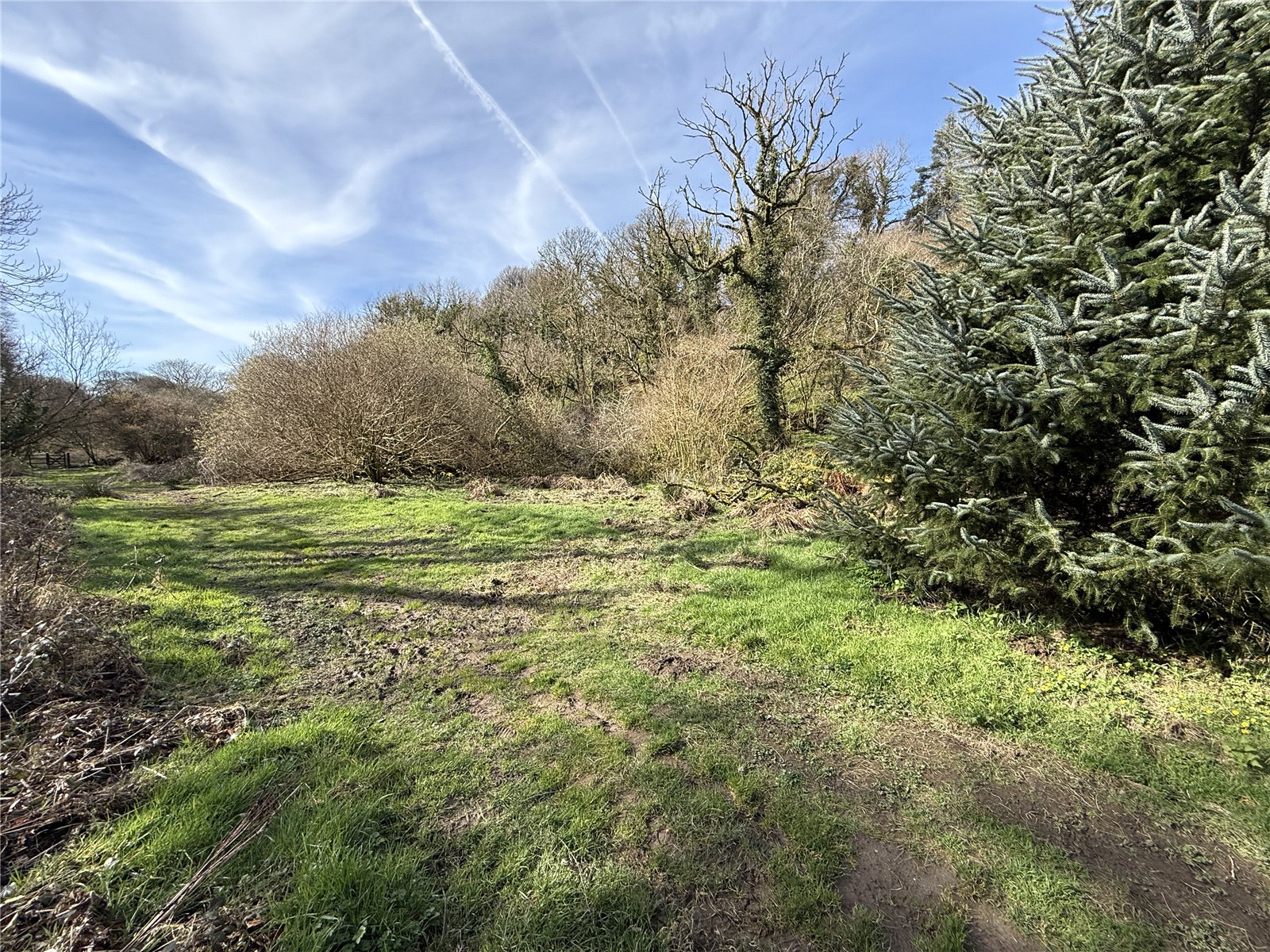 Adjacent To River Camel, Camelford, Cornwall PL32
