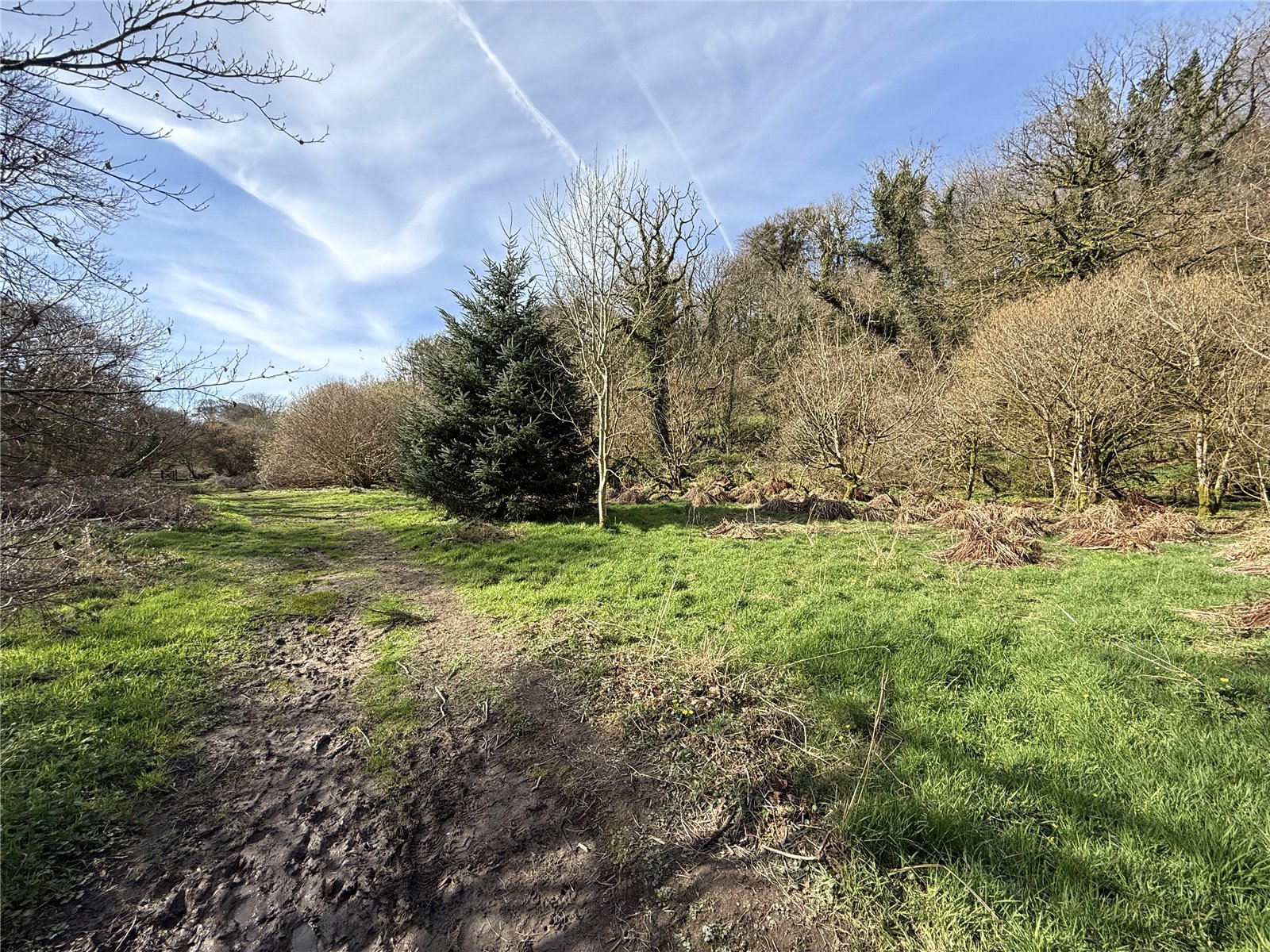 Adjacent To River Camel, Camelford, Cornwall PL32