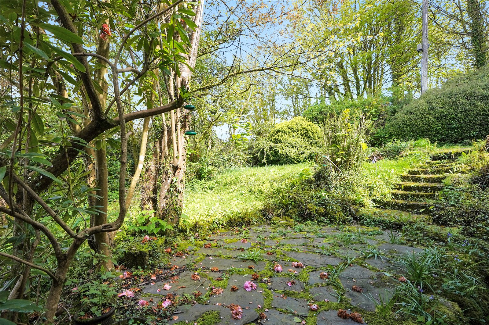 Draynes, Liskeard, Cornwall PL14