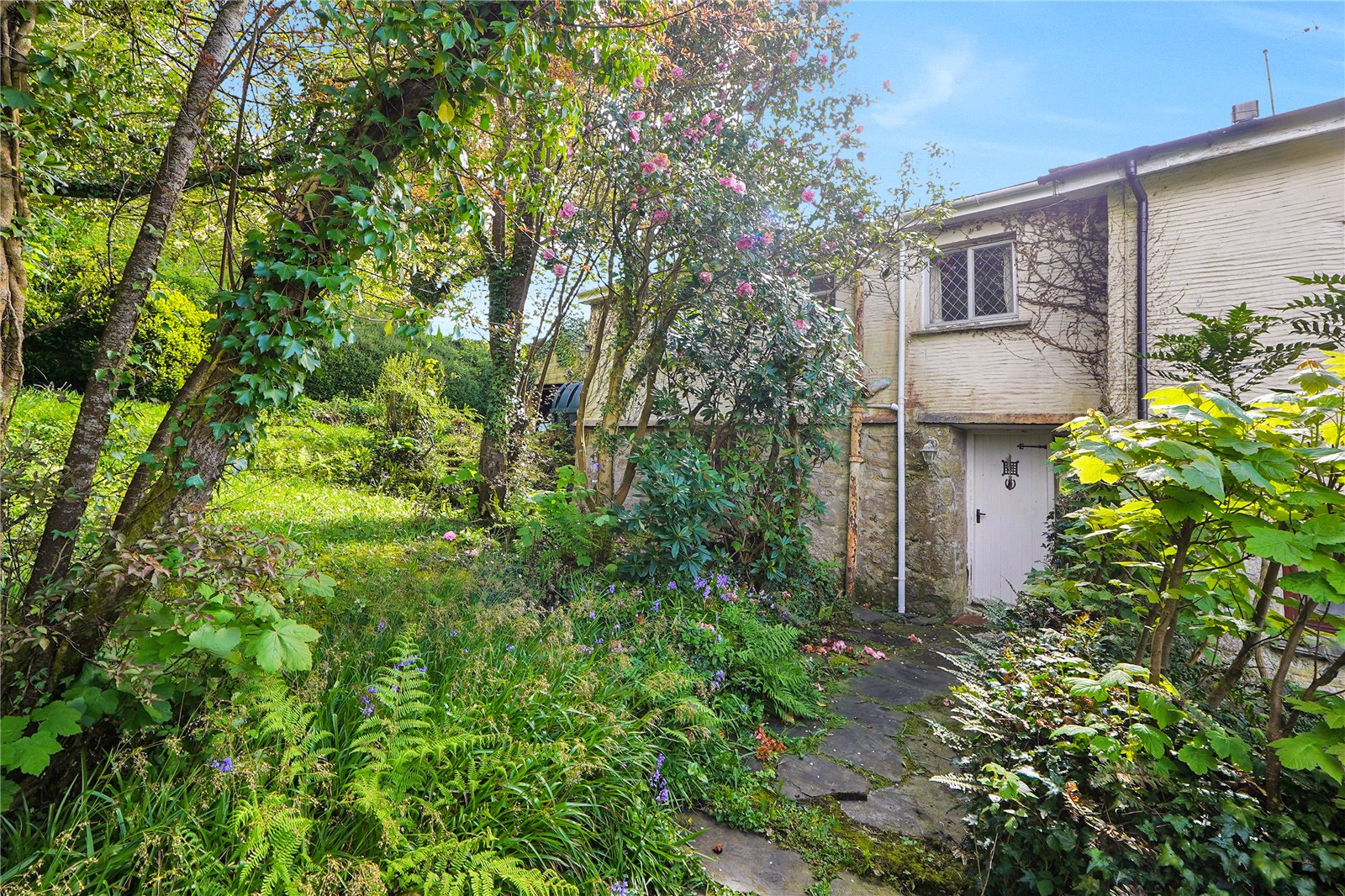 Draynes, Liskeard, Cornwall PL14